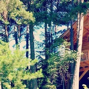  Lodge Les Des Pins Sylvestres